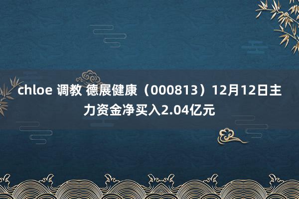 chloe 调教 德展健康（000813）12月12日主力资金净买入2.04亿元