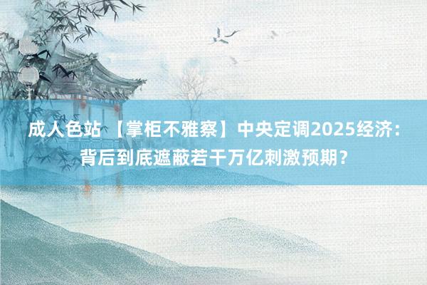 成人色站 【掌柜不雅察】中央定调2025经济：背后到底遮蔽若干万亿刺激预期？