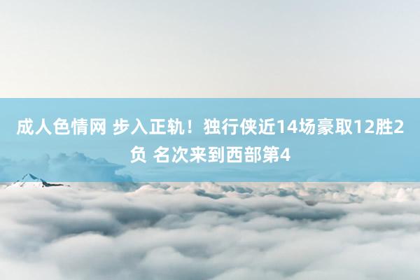 成人色情网 步入正轨！独行侠近14场豪取12胜2负 名次来到西部第4