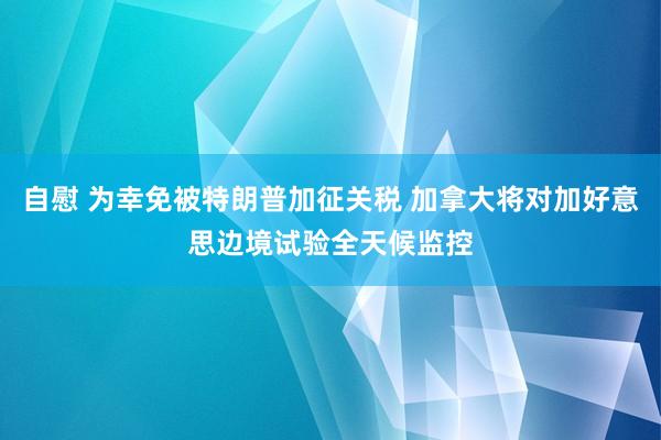 自慰 为幸免被特朗普加征关税 加拿大将对加好意思边境试验全天候监控