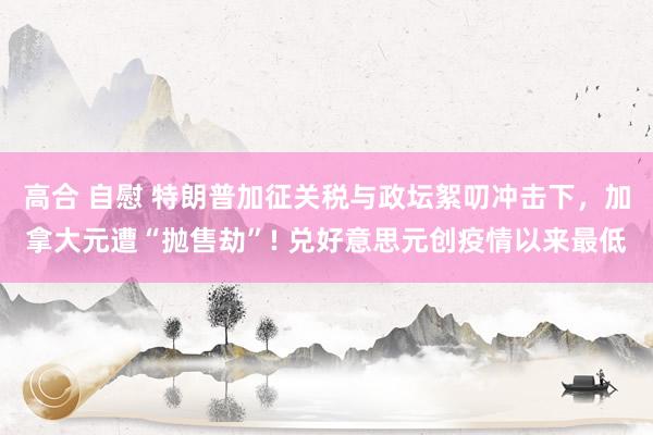 高合 自慰 特朗普加征关税与政坛絮叨冲击下，加拿大元遭“抛售劫”! 兑好意思元创疫情以来最低