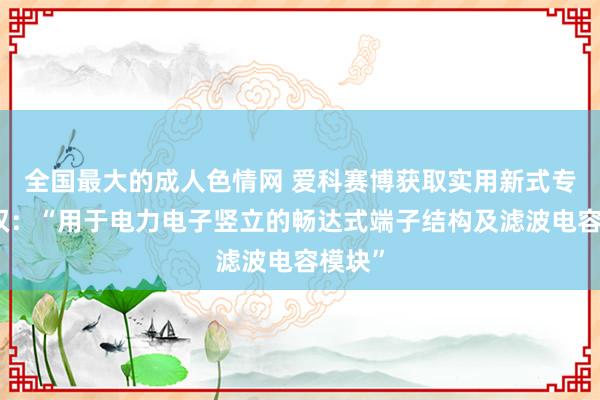 全国最大的成人色情网 爱科赛博获取实用新式专利授权：“用于电力电子竖立的畅达式端子结构及滤波电容模块”