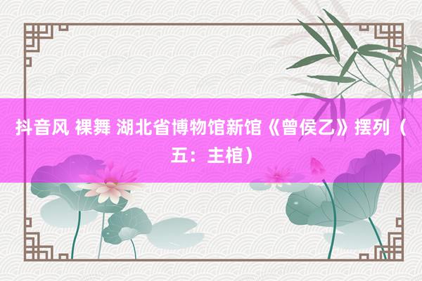 抖音风 裸舞 湖北省博物馆新馆《曾侯乙》摆列（五：主棺）