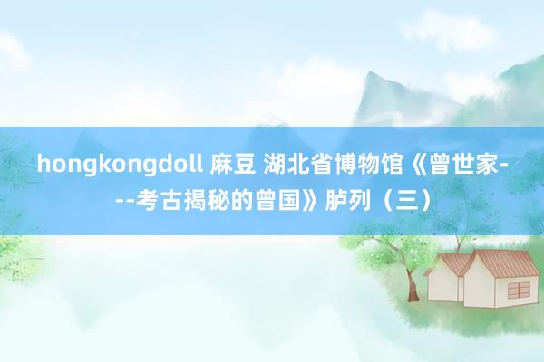 hongkongdoll 麻豆 湖北省博物馆《曾世家---考古揭秘的曾国》胪列（三）