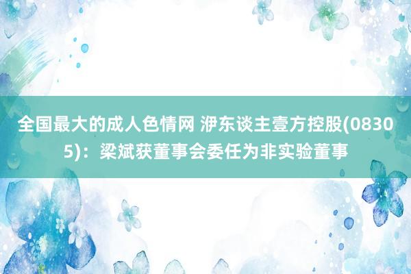 全国最大的成人色情网 洢东谈主壹方控股(08305)：梁斌获董事会委任为非实验董事