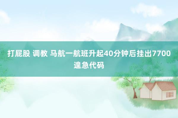 打屁股 调教 马航一航班升起40分钟后挂出7700遑急代码