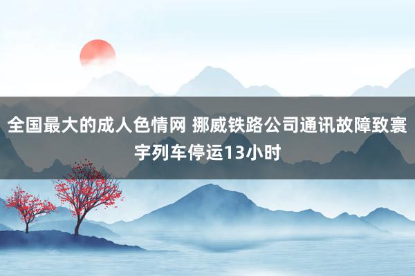 全国最大的成人色情网 挪威铁路公司通讯故障致寰宇列车停运13小时