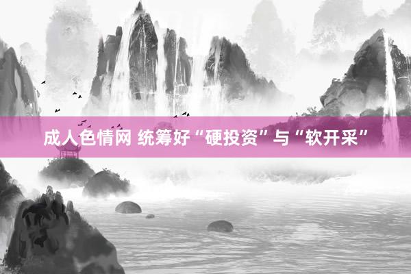 成人色情网 统筹好“硬投资”与“软开采”