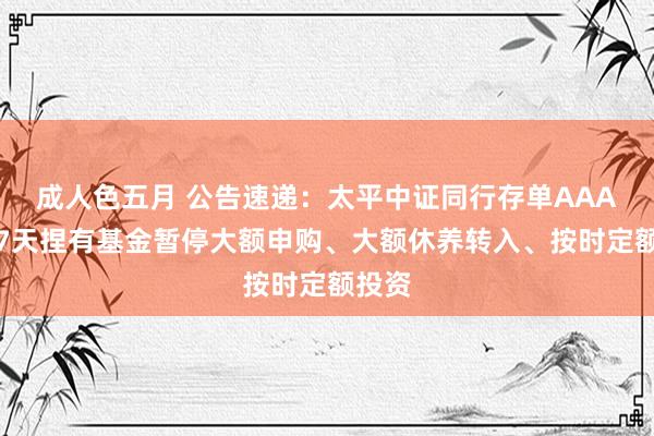 成人色五月 公告速递：太平中证同行存单AAA指数7天捏有基金暂停大额申购、大额休养转入、按时定额投资