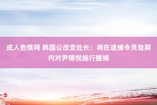 成人色情网 韩国公改变处长：将在逮捕令灵验期内对尹锡悦施行握捕