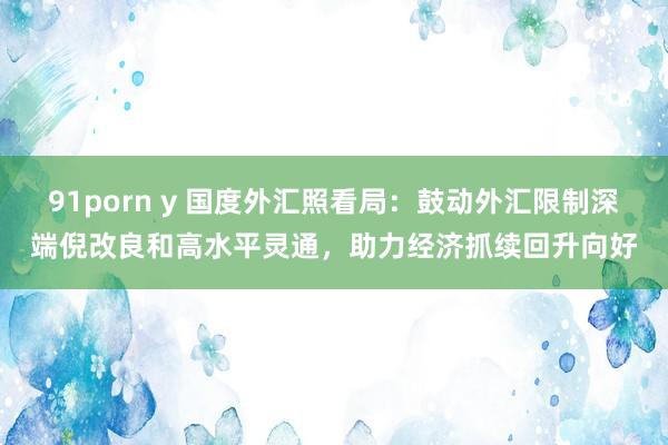 91porn y 国度外汇照看局：鼓动外汇限制深端倪改良和高水平灵通，助力经济抓续回升向好