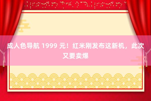 成人色导航 1999 元！红米刚发布这新机，此次又要卖爆