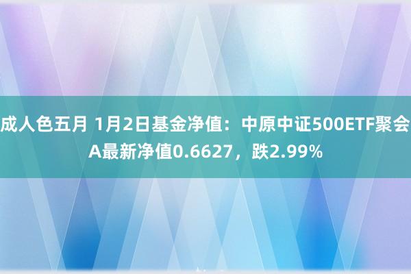 成人色五月 1月2日基金净值：中原中证500ETF聚会A最新净值0.6627，跌2.99%