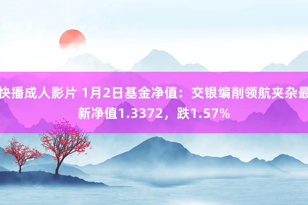 快播成人影片 1月2日基金净值：交银编削领航夹杂最新净值1.3372，跌1.57%