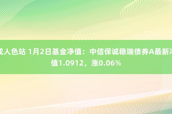 成人色站 1月2日基金净值：中信保诚稳瑞债券A最新净值1.0912，涨0.06%