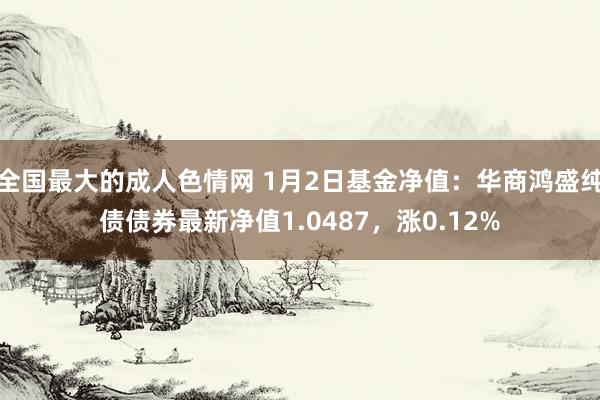 全国最大的成人色情网 1月2日基金净值：华商鸿盛纯债债券最新净值1.0487，涨0.12%