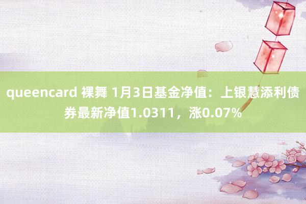 queencard 裸舞 1月3日基金净值：上银慧添利债券最新净值1.0311，涨0.07%