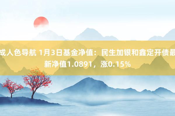 成人色导航 1月3日基金净值：民生加银和鑫定开债最新净值1.0891，涨0.15%