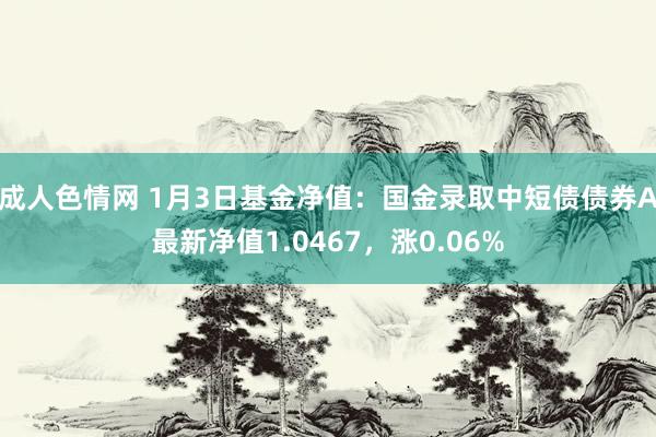 成人色情网 1月3日基金净值：国金录取中短债债券A最新净值1.0467，涨0.06%