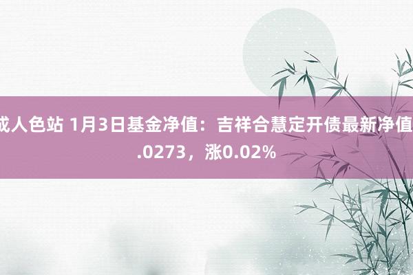 成人色站 1月3日基金净值：吉祥合慧定开债最新净值1.0273，涨0.02%