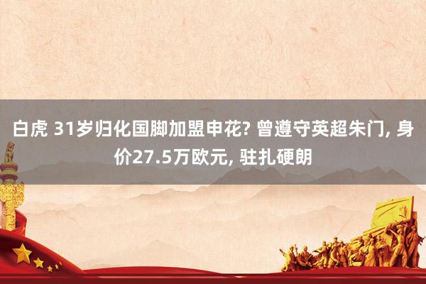 白虎 31岁归化国脚加盟申花? 曾遵守英超朱门， 身价27.5万欧元， 驻扎硬朗