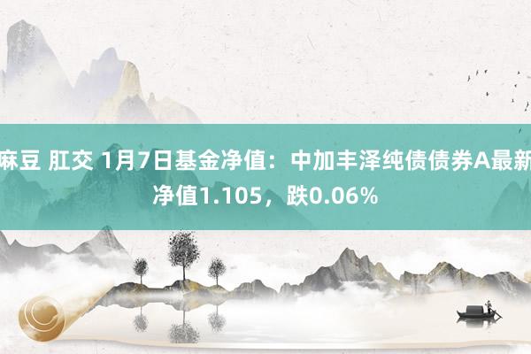 麻豆 肛交 1月7日基金净值：中加丰泽纯债债券A最新净值1.105，跌0.06%