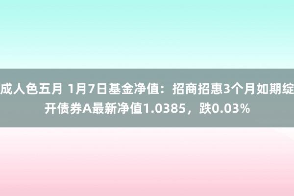 成人色五月 1月7日基金净值：招商招惠3个月如期绽开债券A最新净值1.0385，跌0.03%