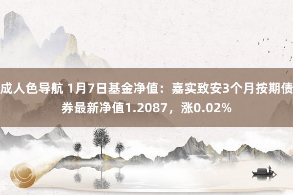 成人色导航 1月7日基金净值：嘉实致安3个月按期债券最新净值1.2087，涨0.02%