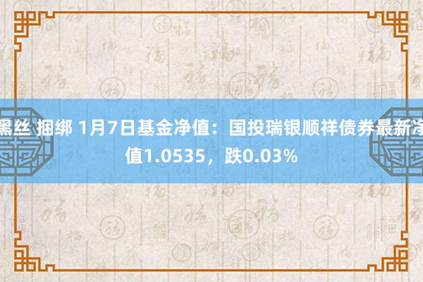 黑丝 捆绑 1月7日基金净值：国投瑞银顺祥债券最新净值1.0535，跌0.03%