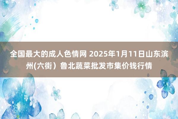 全国最大的成人色情网 2025年1月11日山东滨州(六街）鲁北蔬菜批发市集价钱行情