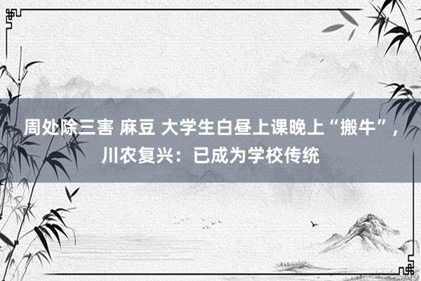 周处除三害 麻豆 大学生白昼上课晚上“搬牛”，川农复兴：已成为学校传统