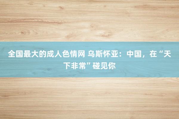 全国最大的成人色情网 乌斯怀亚：中国，在“天下非常”碰见你