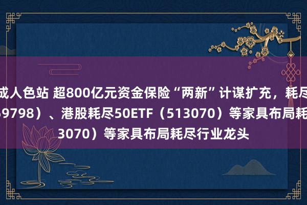 成人色站 超800亿元资金保险“两新”计谋扩充，耗尽50ETF（159798）、港股耗尽50ETF（513070）等家具布局耗尽行业龙头