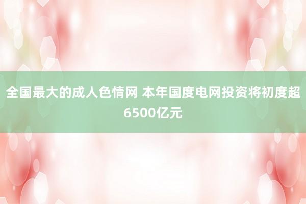 全国最大的成人色情网 本年国度电网投资将初度超6500亿元