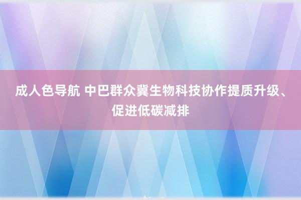 成人色导航 中巴群众冀生物科技协作提质升级、促进低碳减排