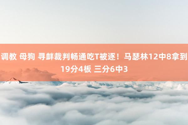 调教 母狗 寻衅裁判畅通吃T被逐！马瑟林12中8拿到19分4板 三分6中3