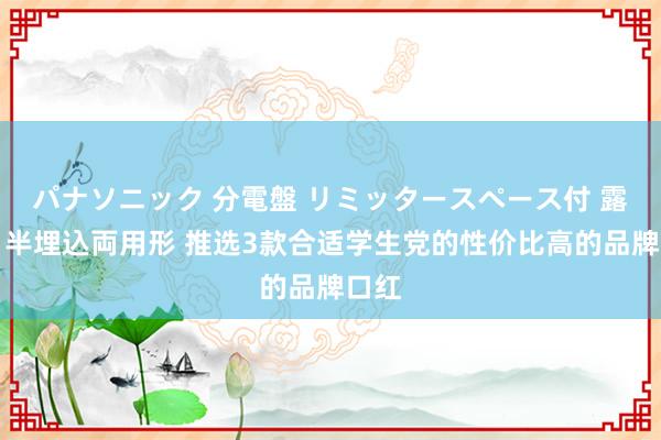 パナソニック 分電盤 リミッタースペース付 露出・半埋込両用形 推选3款合适学生党的性价比高的品牌口红